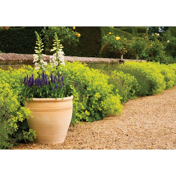 Himalaya Traditional Terracotta Planter 22cm