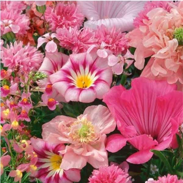 Unwins Sea Of Pink Mixed Annuals Seeds