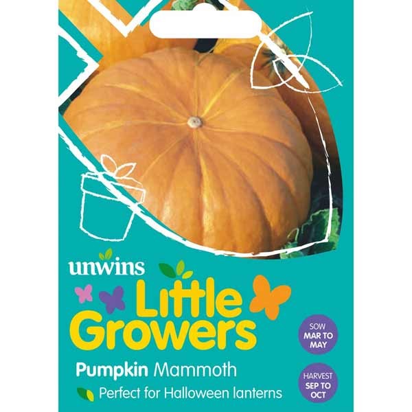 Unwins Little Growers Pumpkin Mammoth Seeds