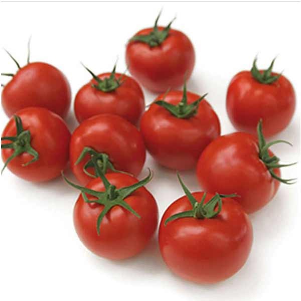 Unwins Tomato Hamlet F1 Organic Seeds