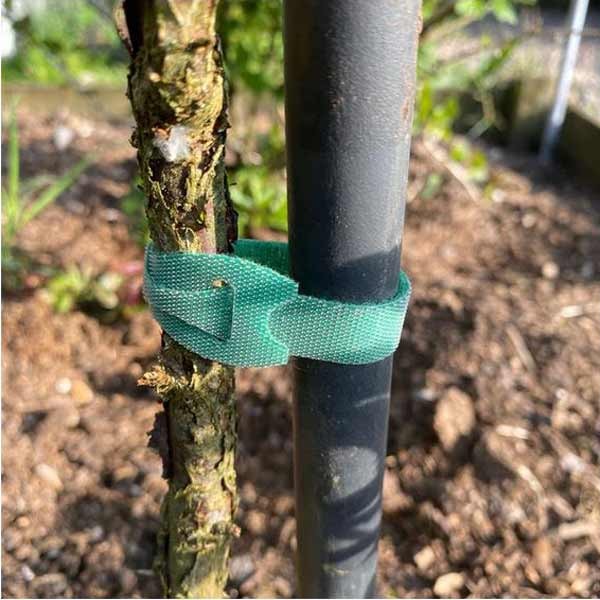 Growers Choice Hook & Loop Plant Tie 7.6m