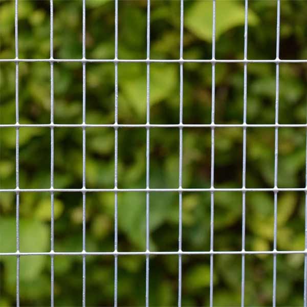 Tildenet 25x13mm Galvanised Wire Mesh Panel 0.6x0.9m