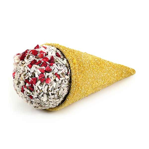 Rosewood Naturals Treats Raspberry 'n' Coconut Cone