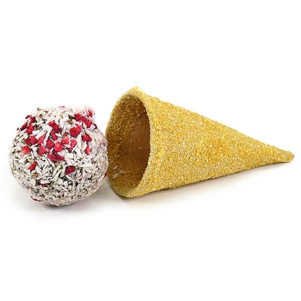 Rosewood Naturals Treats Raspberry 'n' Coconut Cone