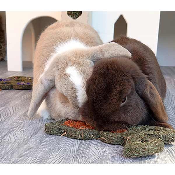 Rosewood Naturals Treats Carrot 'n' Forage Bunny