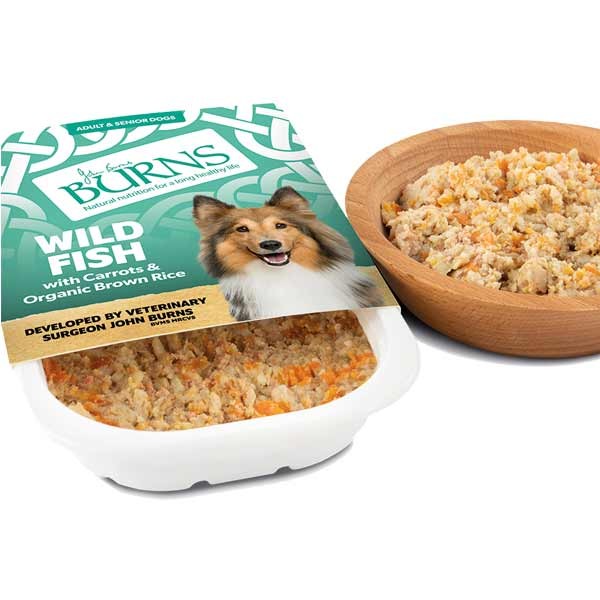 Burns Wild Fish with Carrots & Brown Rice Adult 150g Wet Dog Food