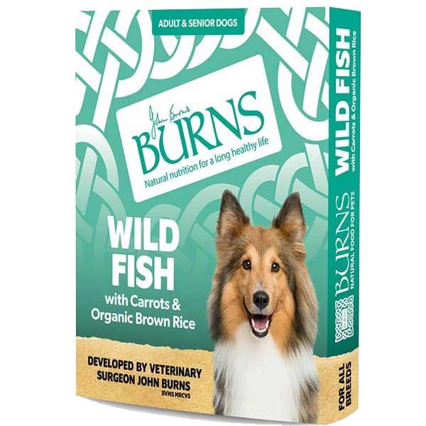 Burns Wild Fish with Carrots & Brown Rice Adult 395g Wet Dog Food