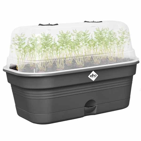 Elho Green Basics Grow Tray All in 1 Living Black Medium