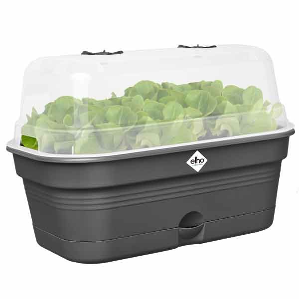 Elho Green Basics Grow Tray All in 1 Living Black Medium