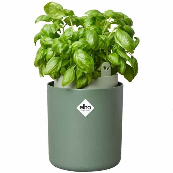 Elho Bouncy Basil Pot Leaf Green 17cm