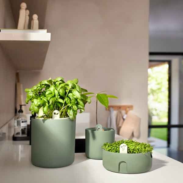 Elho Bouncy Basil Pot Leaf Green 17cm