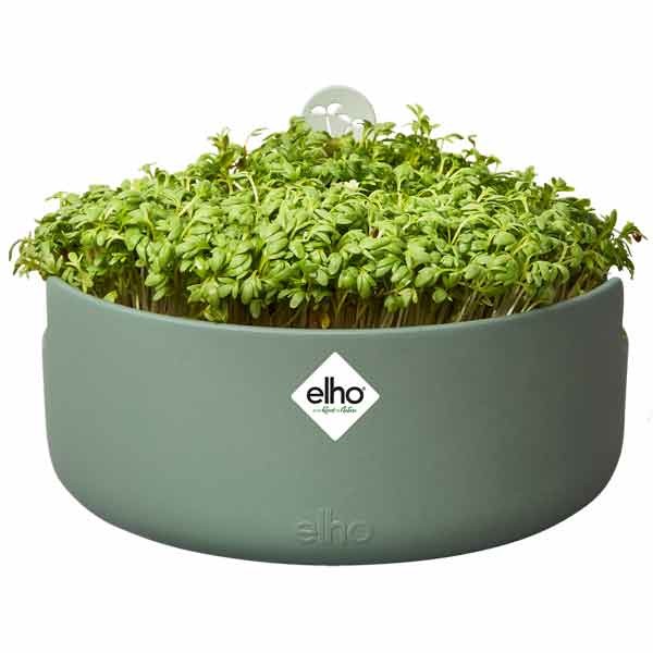 Elho Magic Microgreens Pot Leaf Green 17cm