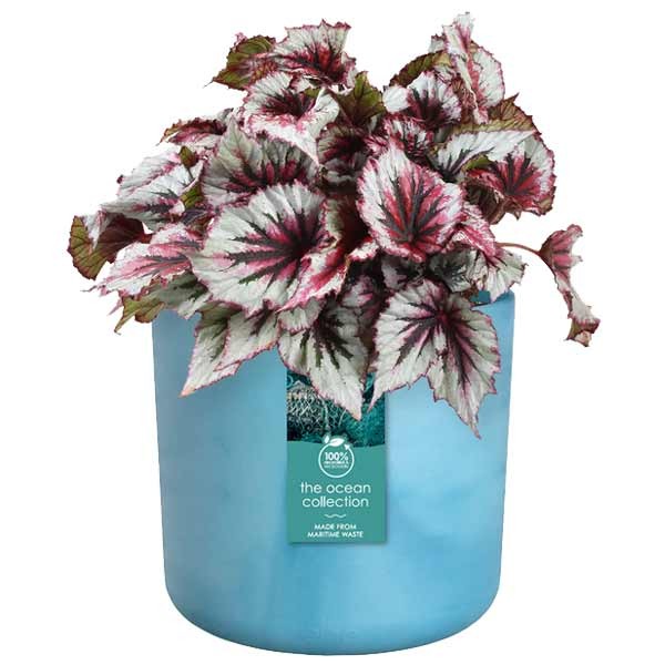 Elho The Ocean Collection Round Atlantic Blue 14cm Flower Pot