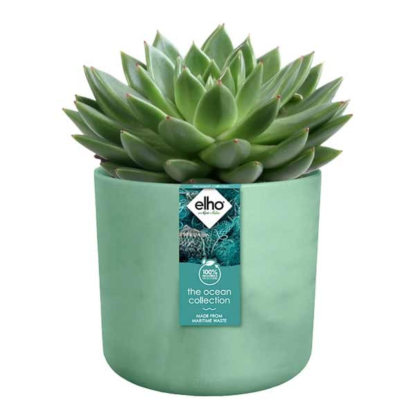 Elho The Ocean Collection Round Pacific Green 14cm Flower Pot