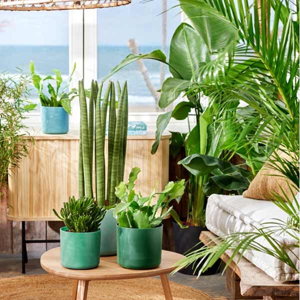 Elho The Ocean Collection Round Pacific Green 14cm Flower Pot