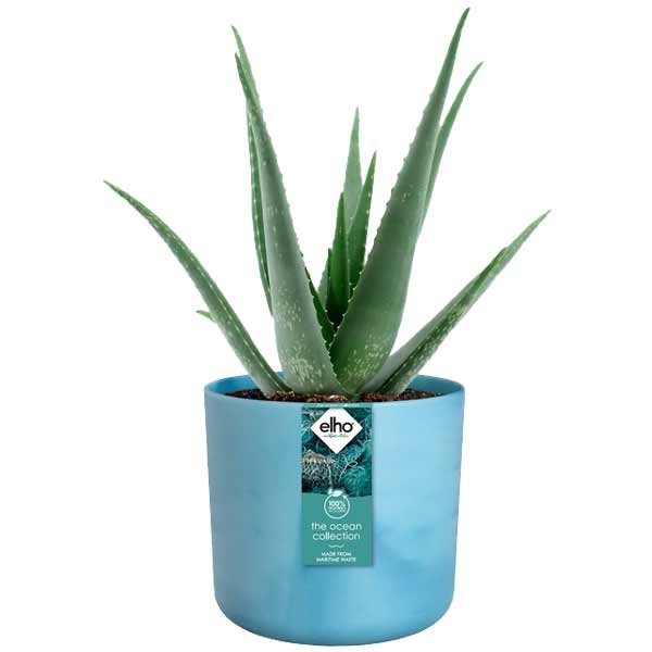 Elho The Ocean Collection Round Atlantic Blue 18cm Flower Pot