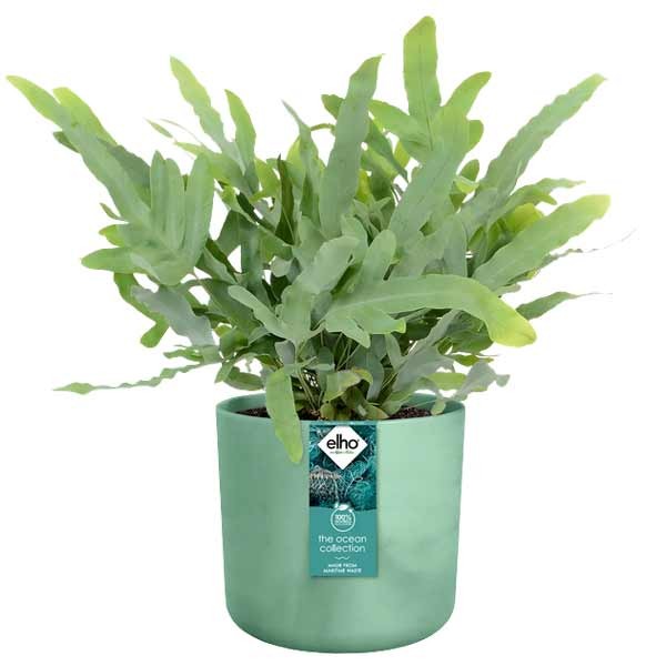 Elho The Ocean Collection Round Pacific Green 18cm Flower Pot