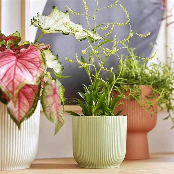 Elho Vibes Fold Round Mini Sorbet Green 7cm Flower Pot