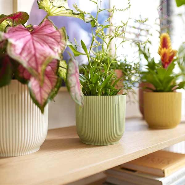 Elho Vibes Fold Round Mini Sorbet Green 11cm Flower Pot