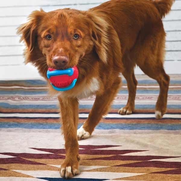 KONG Jaxx Brights Ball Large Dog Toy