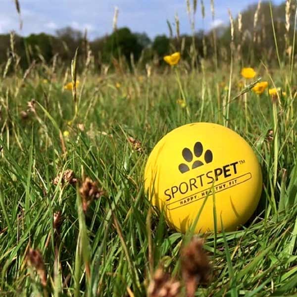 Sportspet Tough Bounce Ball 65mm 3 Pack