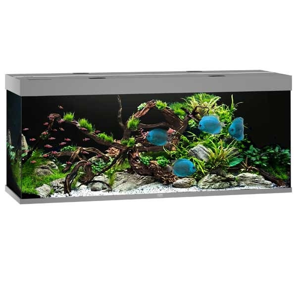 Juwel Rio Grey 450 LED Aquarium