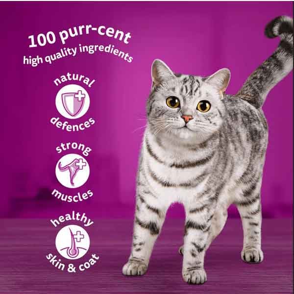 Whiskas Poultry Feasts in Jelly Adult 40x85g Wet Cat Food