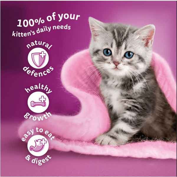 Whiskas Poultry Feasts in Jelly Kitten 12 x 85g Wet Cat Food