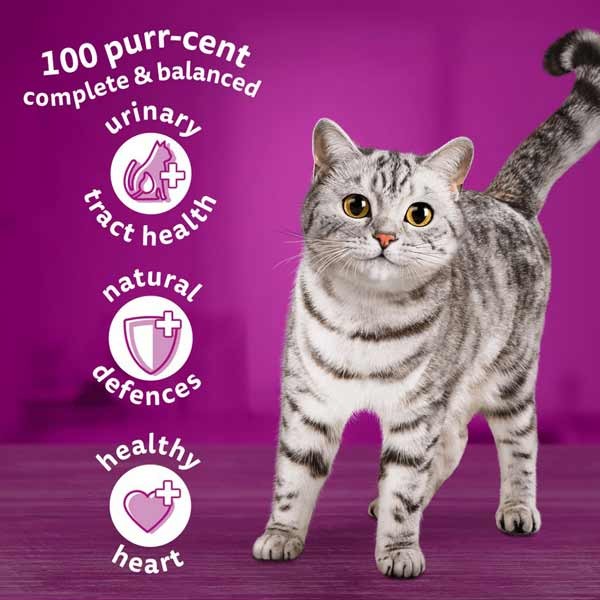 Whiskas Chicken Adult 3.8kg Dry Cat Food