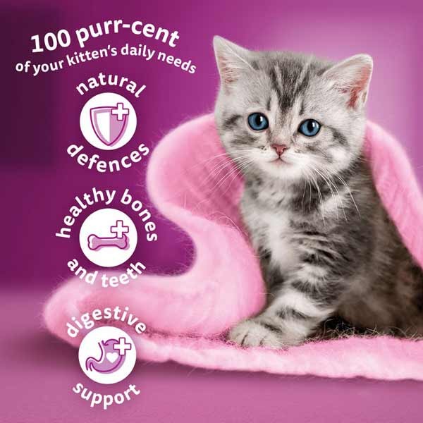 Whiskas Chicken Kitten 1.9kg Dry Cat Food