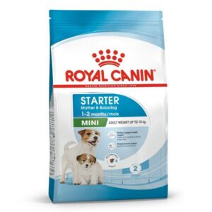 Royal Canin Mini Starter Mother & Babydog 4kg Dry Dog Food