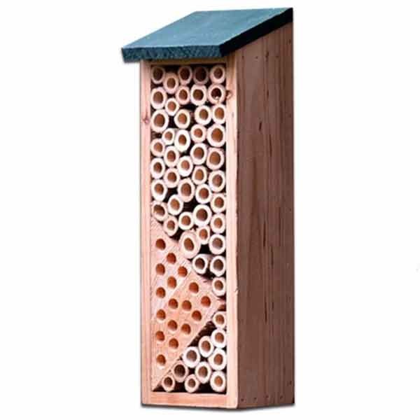 Greenkey Hook On Solitary Bee House Wildlife Habitat