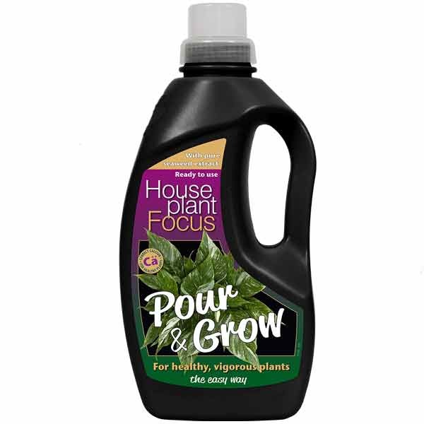 Growth Technology Houseplant Focus Pour & Grow 1 Litre