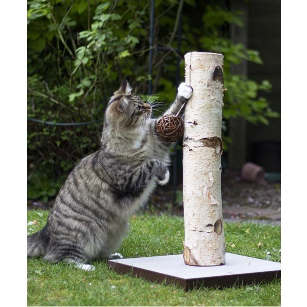 Rosewood Naturals for Cat Back to Instinct Nature Active-Tree