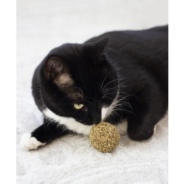 Rosewood Naturals Catnip Ball Single Cat Toy