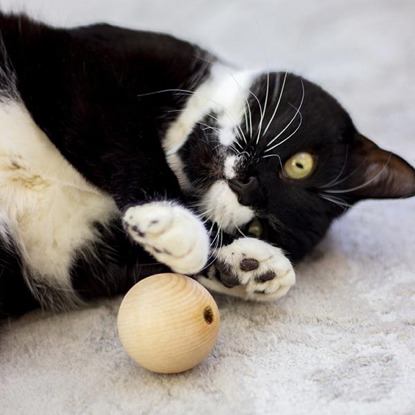 Rosewood Naturals Catnip Wooden Ball Cat Toy