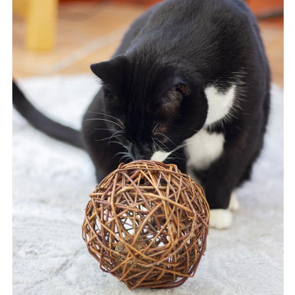 Rosewood Naturals Willow & Catnip XXL Ball Single Cat Toy