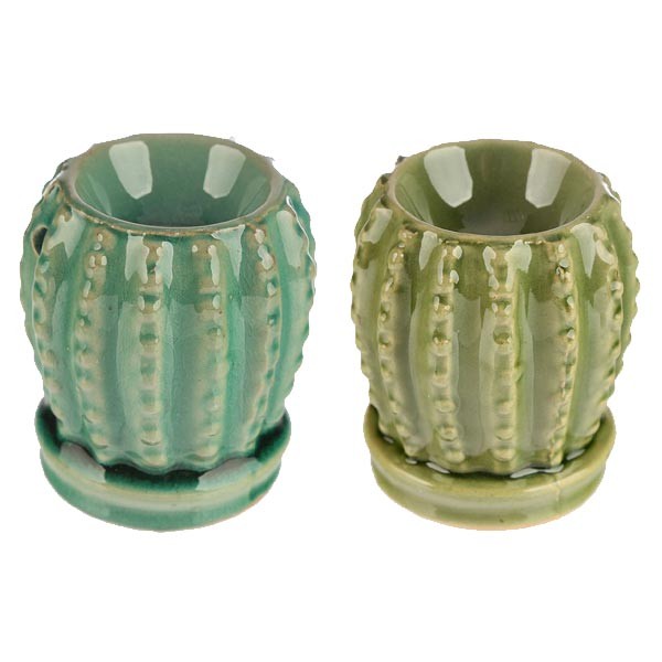 Ceramic Mini Cactus Oil Burner Single