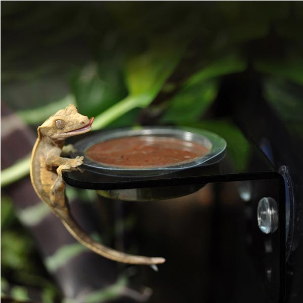 Habistat Crested Gecko Diet Strawberry 40g