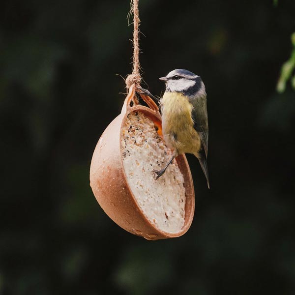 Peckish Natural Balance Coco-Not Wild Bird Feeder 4 Pack