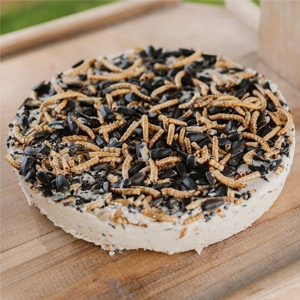 Gardman Wild Bird Care Seed & Mealworm Suet Cookie 500g