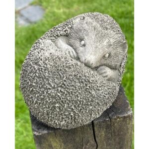 Sleeping Hedgehog Stone Garden Ornament 14cm