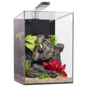 Aqua One Dynamic 55 Aquarium Kit