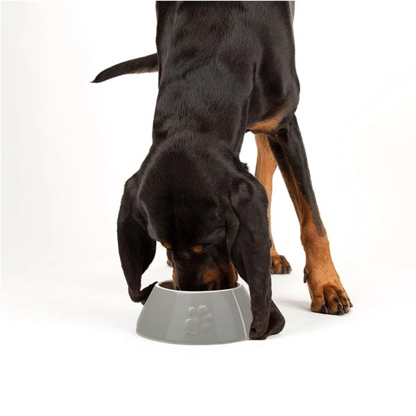 Scruffs Classic Long Eared Dog Bowl Grey 21cm