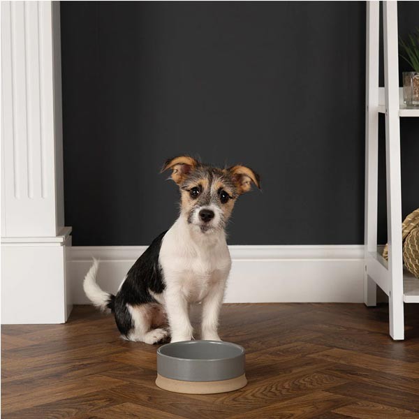 Scruffs Non Tip Pet Food & Water Bowl Grey 20cm