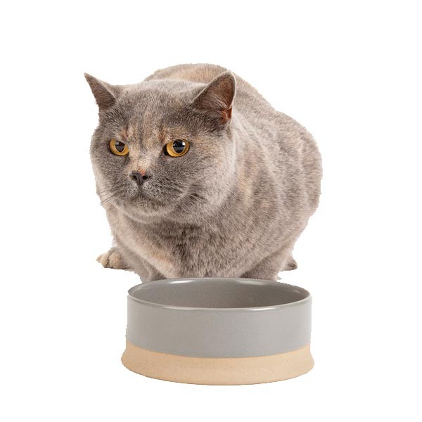 Scruffs Non Tip Pet Food & Water Bowl Grey 20cm