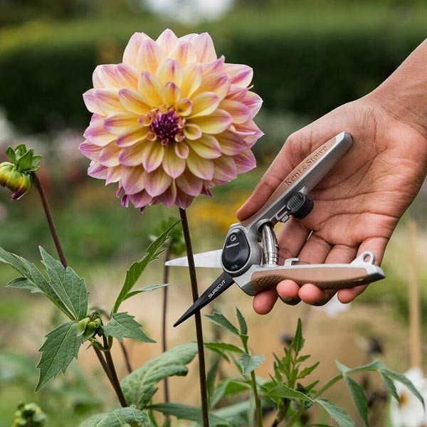 Kent & Stowe Garden Life Flower Snips