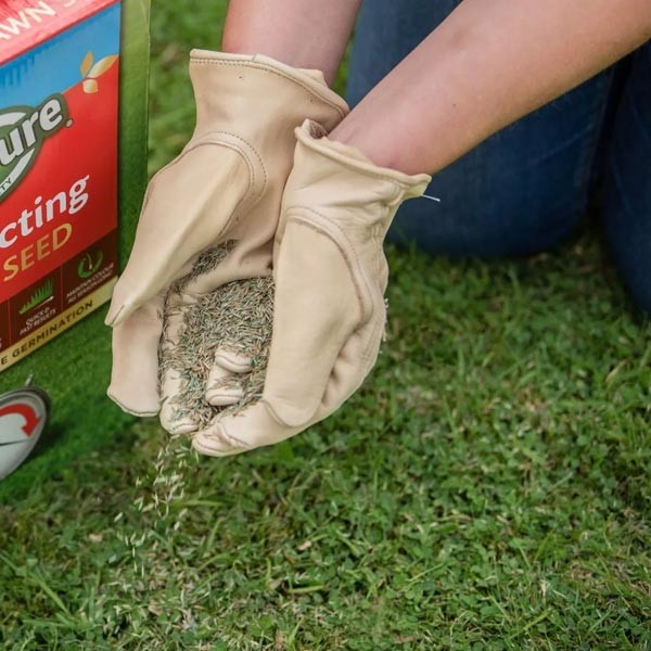 Gro-Sure Fast Acting Lawn Seed 30m2 + 20% Extra Free