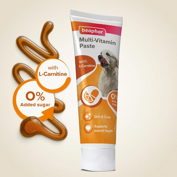 Beaphar Multi-Vitamin Paste For Dogs 100g