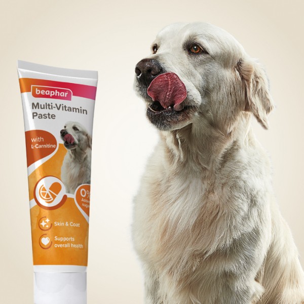 Beaphar Multi-Vitamin Paste For Dogs 100g